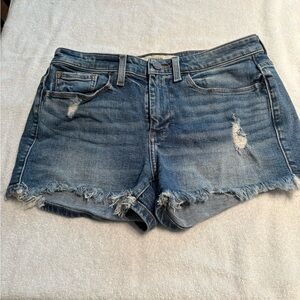BKE Blue Distressed Jean Shorts
